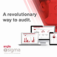 Anglia enables detailed remote quality audits